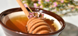 Manuka Honey – 4 Outstanding Health Benefits You Need to Know